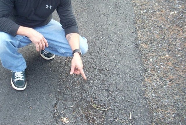 Cracked asphalt Cracked asphalt