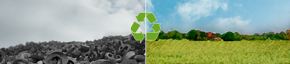 environment environment