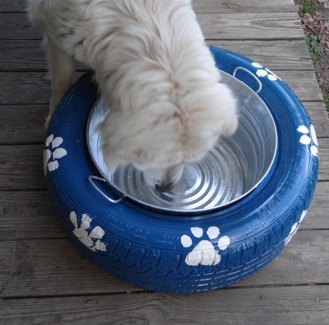 Tire dog bowl